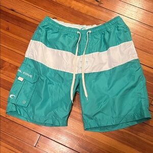 Men's Teal Swim Trunks with White Stripe -